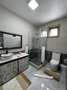 a bathroom with a shower and a toilet and a sink at Coral Paradise Beach Villa E-05 in Flic-en-Flac