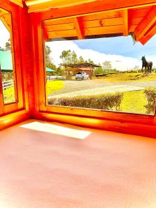 - une fenêtre dans une chambre avec un cheval dans un champ dans l'établissement Cabaña de ensueño: 9 min centro, à Chiquinquirá