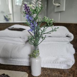 a vase with purple flowers on a table with towels at Hotel Da Vinci in Serra Negra