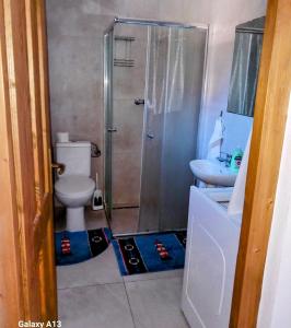 Kúpeľňa v ubytovaní Ubytovanie u Slovana - Apartmán 1