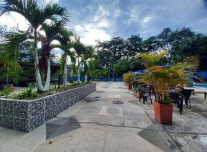 patio ze stołami i palmami oraz basenem w obiekcie Hotel Miami Beach San Jerónimo w mieście San Jerónimo