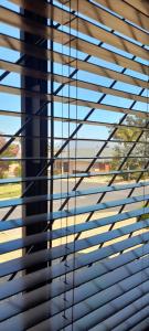 een raam met houten jaloezieën en uitzicht op de bomen bij S & V Accommodation in Kaapstad