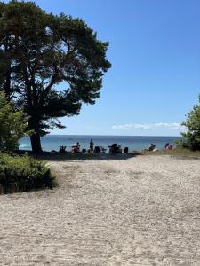 een groep mensen die paardrijden op het strand bij Hotell Hanöhus Hällevik in Sölvesborg