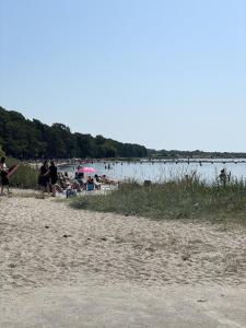 een groep mensen op een strand bij het water bij Hotell Hanöhus Hällevik in Sölvesborg