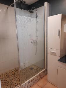 y baño con ducha y puerta de cristal. en Grande chambre lumineuse dans un grand t3, en Aix-en-Provence