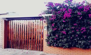 a fence with a bunch of pink flowers on it at Excelente ubicación, movistar, parque simon Bolivar in Bogotá