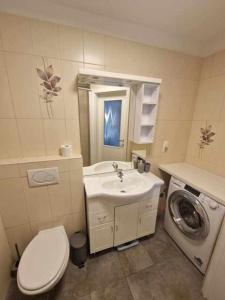 a bathroom with a toilet sink and a washing machine at Studio Bizjak in Vrhnika