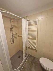 a bathroom with a shower and a toilet in it at Studio Bizjak in Vrhnika