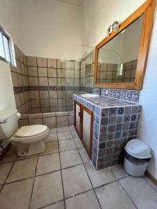 bagno con servizi igienici, lavandino e specchio di COLIVING a Cuernavaca