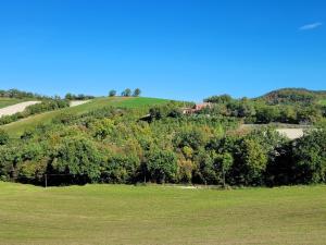 a green field with a house on top of a hill at Agriturismo Merlino - Natur pur in Pergola