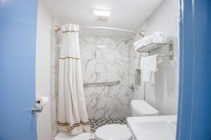 a bathroom with a shower curtain and a toilet at Aladdin Motel By OYO Merritt Island in Merritt Island