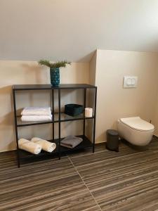 a bathroom with a toilet and a shelf with towels at Green Valley Apartments in Zavrč