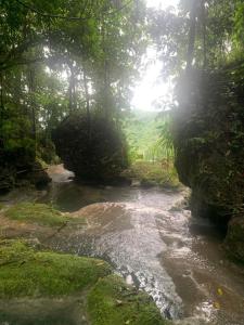 Kuvagallerian kuva majoituspaikasta Nonsuch Falls - Journey to Paradise - Modern Waterfall Escape, joka sijaitsee kohteessa Breastworks