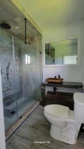 uma casa de banho com um WC e uma cabina de duche em vidro. em Nonsuch Falls - Journey to Paradise - Modern Waterfall Escape em Breastworks