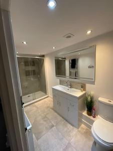 a bathroom with a toilet and a sink and a shower at Five Farthings Stylish cottage in Littleworth