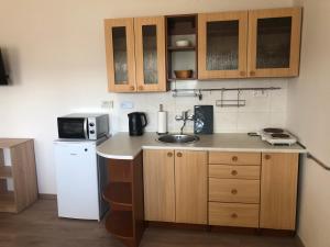 Kuchyň nebo kuchyňský kout v ubytování Apartmán PodFaustinkou