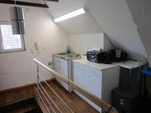 a small kitchen with a stove and a sink at Ferienwohnung Am Homburg Nr 1 in Saarbrücken