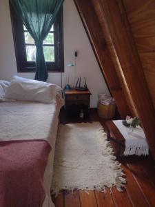 Schlafzimmer mit einem Bett, einem Fenster und einem Teppich in der Unterkunft Ala de Colibri in Ramallo