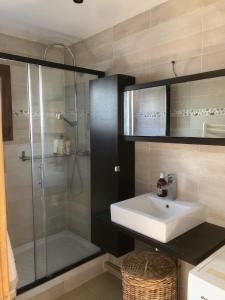 a bathroom with a sink and a shower at Apartment in Montmartre in Paris