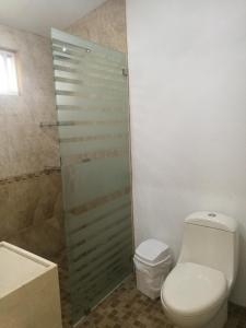 e bagno con servizi igienici e doccia in vetro. di Casa Jardin a Guadalajara