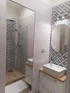 a bathroom with a sink and a mirror and a shower at Apartament na Przedmieściu in Wrocław