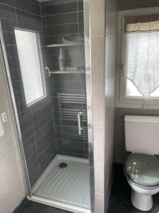 ein kleines Badezimmer mit Dusche und Toilette in der Unterkunft Plage du Débarquement. Maison bord de Mer in Saint-Côme-de-Fresné