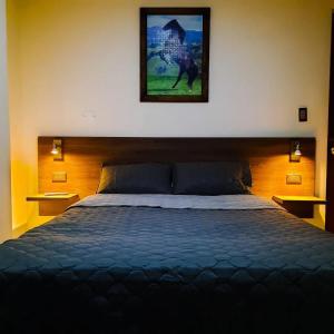 een slaapkamer met een groot bed met een foto aan de muur bij Hotel La Herradura 