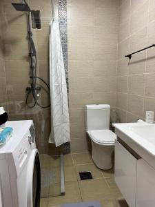 Vannituba majutusasutuses Vuk Apartman