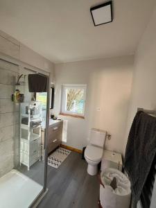 a bathroom with a toilet and a shower and a sink at Maison au bord de rivière 