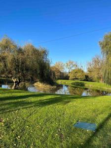 a grassy field with a body of water and trees at Maison au bord de rivière in Gissey-sur-Ouche +1 photo