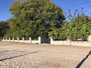 a beach with a fence and trees and bushes at Jacobsen Bungalow in Maun, Boronyane in Maun