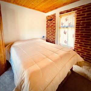 a bedroom with a large bed in a room with a window at Hostal del río in El Bolsón