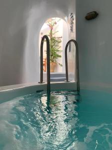 una piscina de agua en una habitación con una planta en Elicriso Villa, en Pirgos