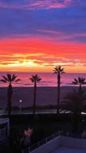 - un coucher de soleil sur la plage avec des palmiers et l'océan dans l'établissement Bel appartement vue mer accès direct plage, à Canet