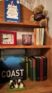 a book shelf with books and a teddy bear at Caistor Bed & Breakfast in Caistor