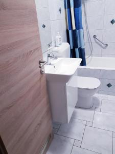 uma casa de banho com um lavatório e um WC em Apartmani Anda em Živogošće