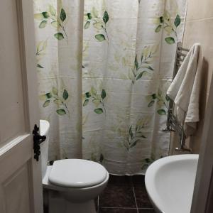 a bathroom with a toilet and a shower curtain at Angel's home in Dublin