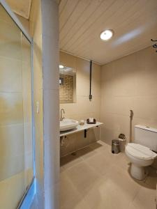 bagno con servizi igienici e lavandino di Pousada Vale das Flores a Nova Friburgo