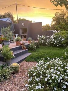 a garden with a bunch of flowers and stairs at Hoekhuis in De Rust