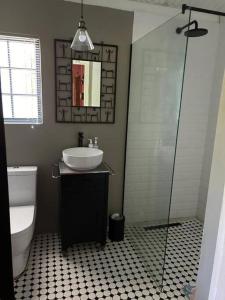 a bathroom with a sink and a glass shower at Hoekhuis in De Rust