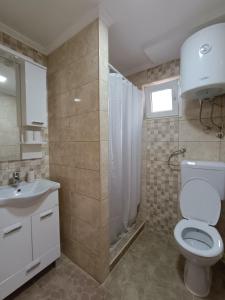 Apartman D في فيشغراد: حمام مع مرحاض ومغسلة ودش