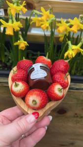 a person holding a plate of strawberries and chocolate at The Cwtch,Self Contained Coastal Annex Freshwater in Freshwater