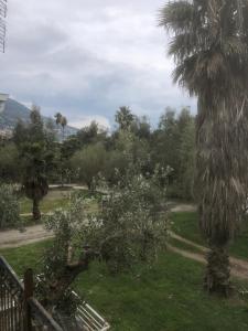 a palm tree in a park with a fence at Barreira Beachfront Rooms 3 in Kalamata