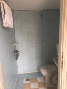 a bathroom with a toilet and a shower stall at Barreira Beachfront Rooms 3 in Kalamata