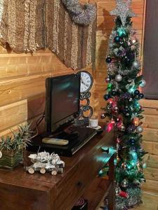 a television and a christmas tree on a table at Family friendly sunny Log Cabin in Wimborne Minster