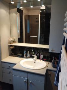 baño con lavabo y espejo grande en Chambre chez l'habitant avec Sdb et WC privatifs, en Marnay-sur-Seine