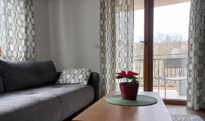 a living room with a couch and a table at Tilia Home in Vrnjačka Banja