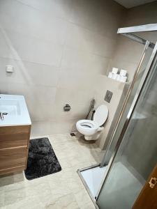 een badkamer met een toilet en een wastafel bij Appartement a agadir bay in Agadir