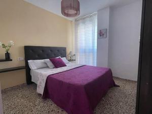 ein Schlafzimmer mit einem lila Bett mit einer lila Decke in der Unterkunft APARTAMENTO ARENALES BELLAVISTASOLYMAR in Arenales del Sol + 37 Fotos