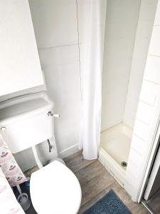 a white bathroom with a toilet and a shower at Kings Cross Pad in London